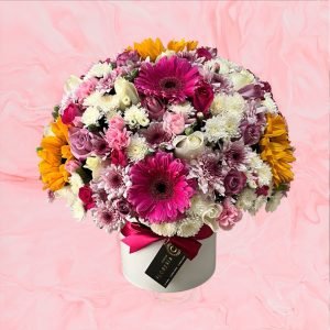 Cilindro 72 Rosas Mixto